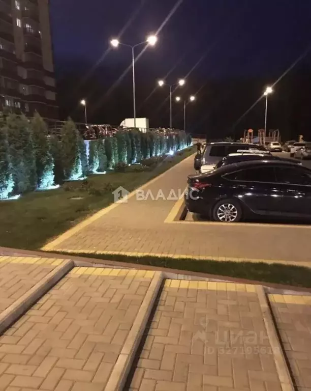 1-к кв. Воронежская область, Воронеж Троицкий кв-л, Олимпийский ... - Фото 2