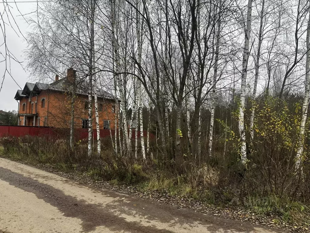 Участок в Московская область, Дмитровский муниципальный округ, с. ... - Фото 2