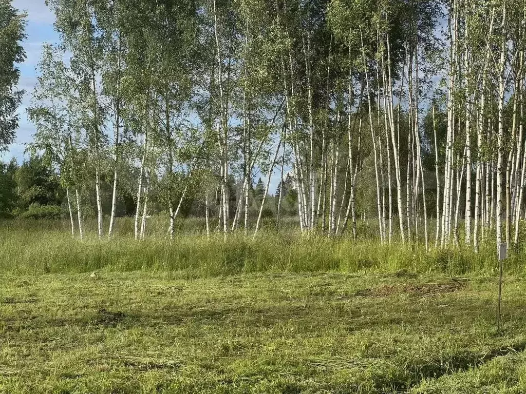 Участок 6,3 сот. (ИЖС) - Фото 0