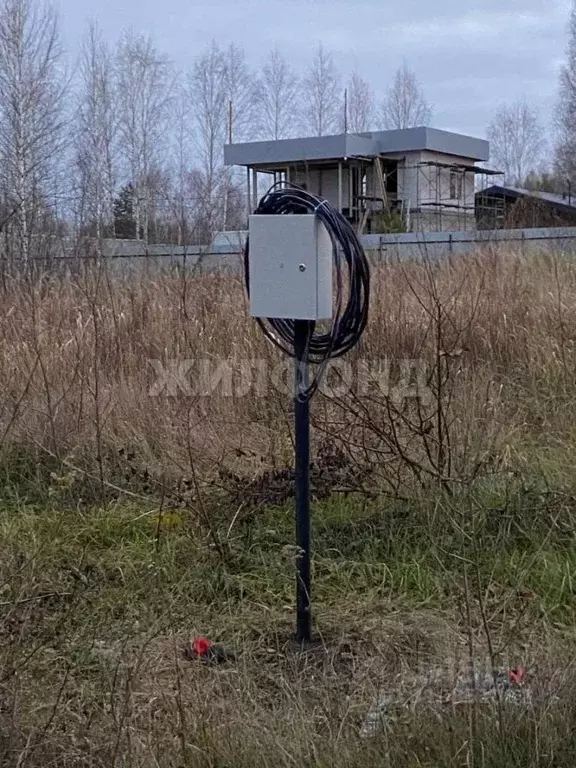 Участок в Новосибирская область, Новосибирский район, Барышевский ... - Фото 0