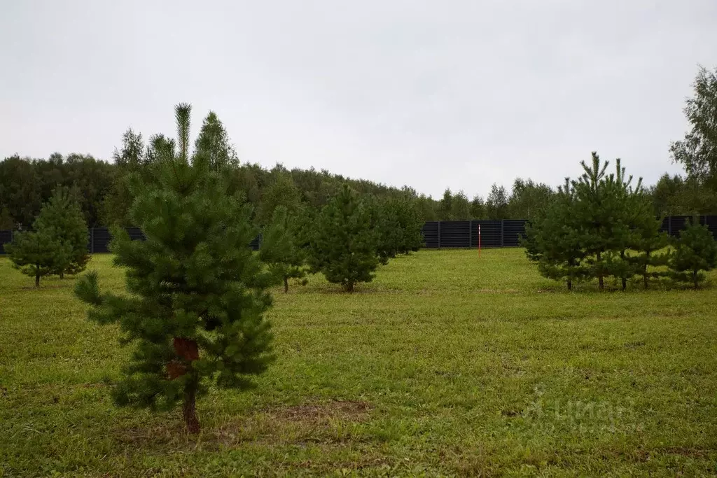 Участок в Тульская область, Заокский район, Малаховское с/пос, Нова ... - Фото 1