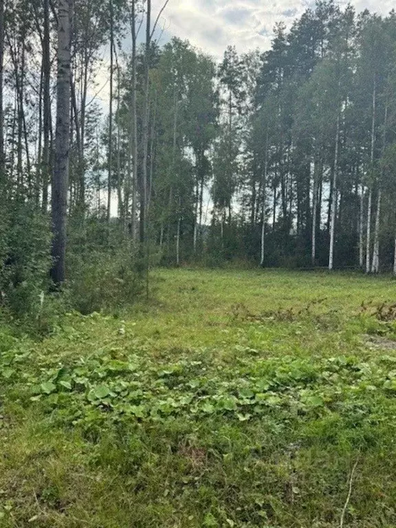 Участок в Свердловская область, Сысертский муниципальный округ, ... - Фото 0