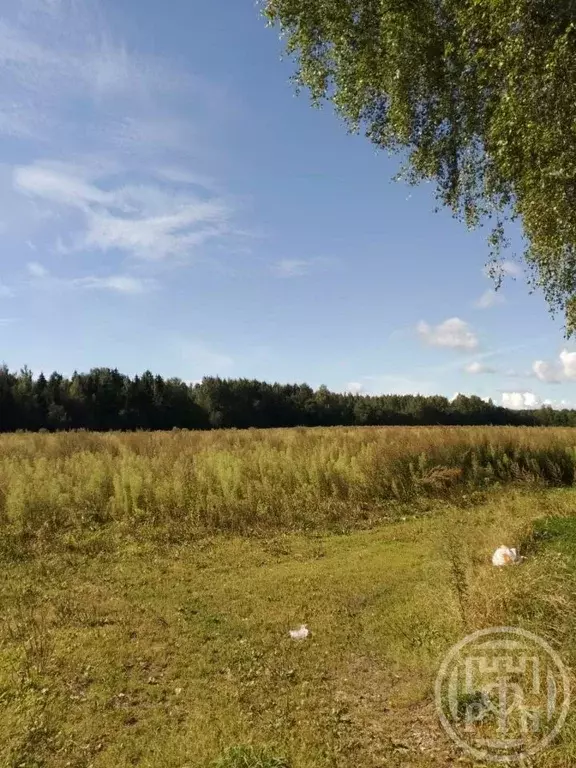 Участок в Ленинградская область, Лужский район, Толмачевское городское ... - Фото 1