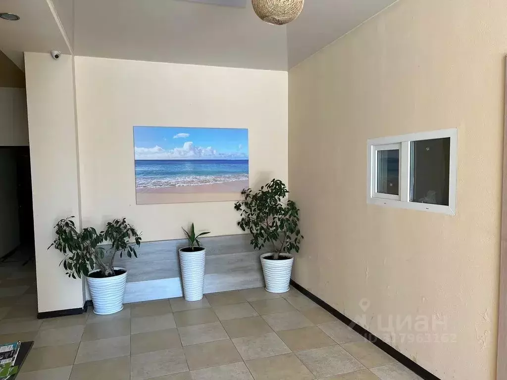 1-к кв. Краснодарский край, Сириус пгт ул. Ружейная, 39 (24.0 м) - Фото 1