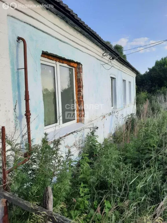 Дом в село Березняговка, улица Новосельцы, 18 (36.9 м) - Фото 2