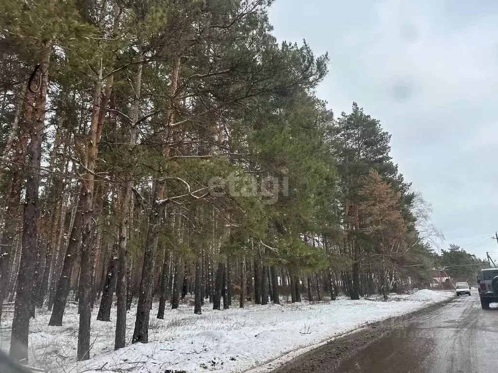 Участок в Воронежская область, Воронеж ул. Совхозная (10.7 сот.) - Фото 1