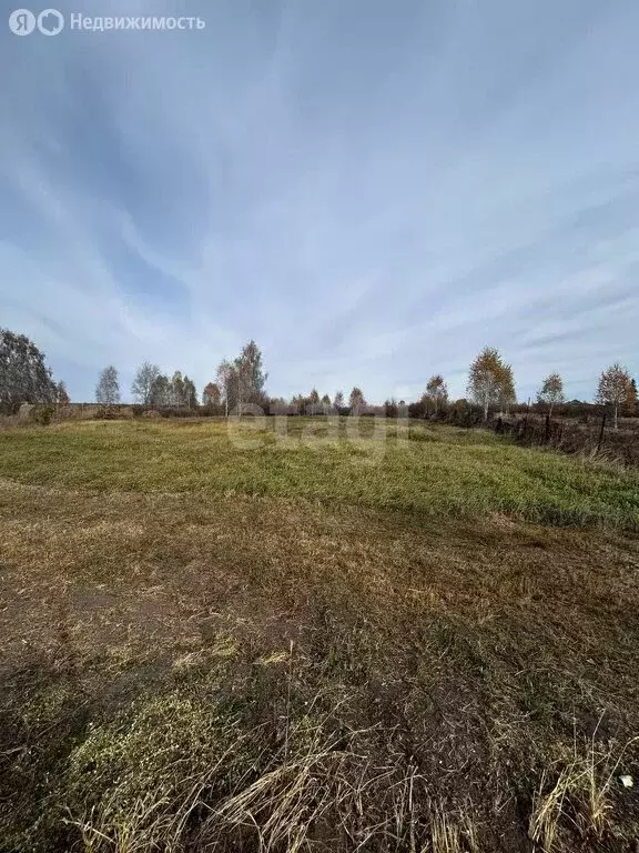 Участок в село Раздольное, Луговая улица (20 м) - Фото 0