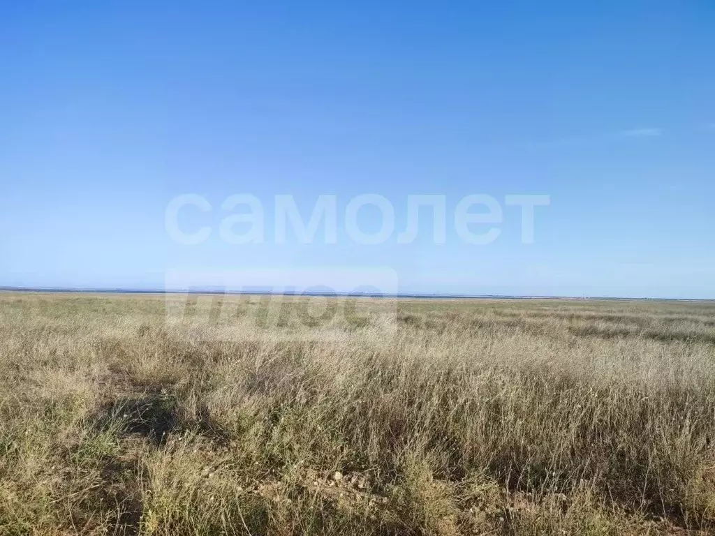 Участок в Крым, Феодосия муниципальный округ, с. Степное ул. Прудная, ... - Фото 2