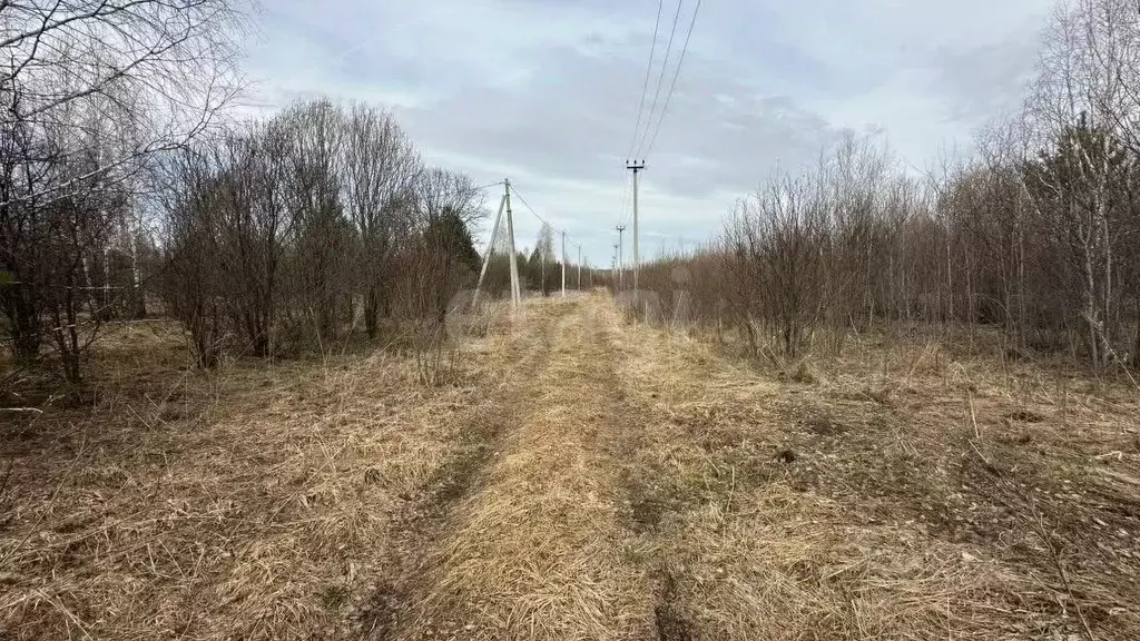 Участок в Кемеровская область, Кемеровский муниципальный округ, ... - Фото 2