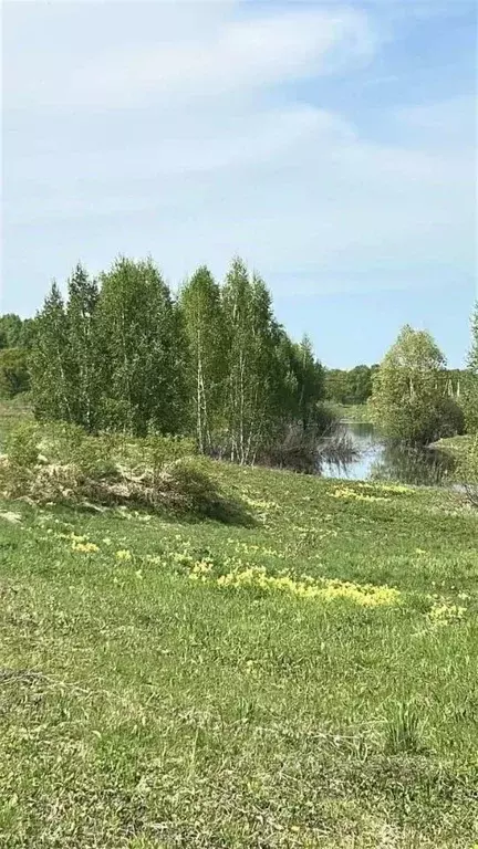 Участок в Башкортостан, Уфимский район, Николаевский сельсовет, д. ... - Фото 1