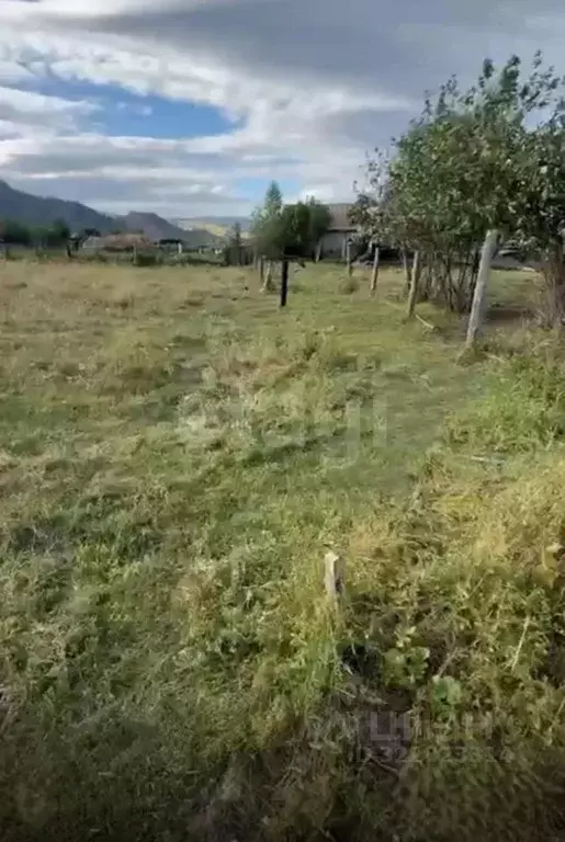 Участок в Алтай, Усть-Коксинский район, с. Кайтанак ул. Ленина (22.39 ... - Фото 1