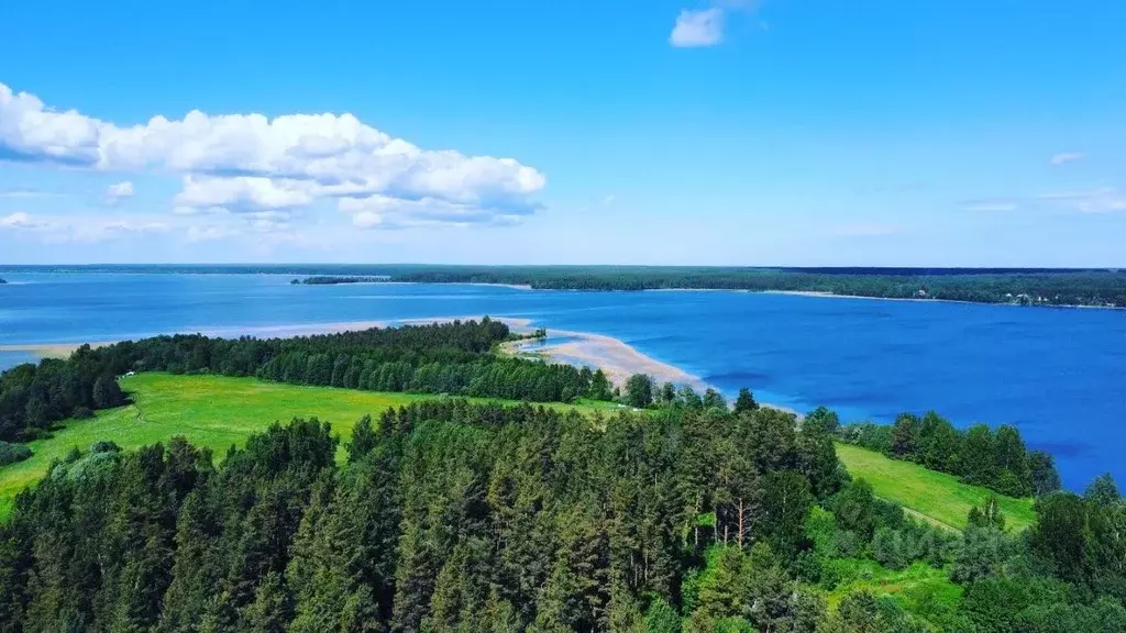 Участок в Ленинградская область, Приозерский район, Громовское с/пос  ... - Фото 2