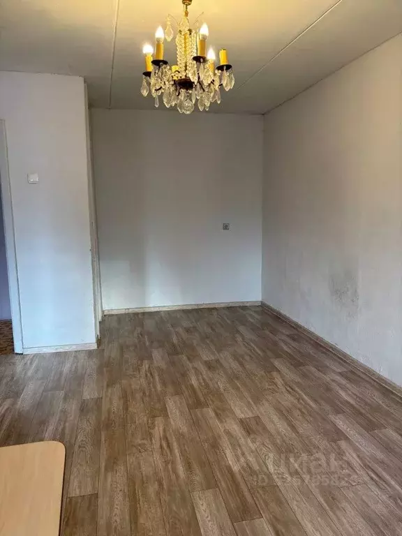 1-к кв. Нижегородская область, Дзержинск просп. Чкалова, 49А (31.4 м) - Фото 2