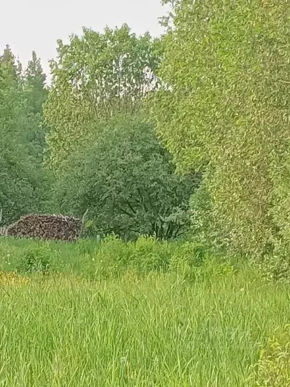 Участок в Ленинградская область, Выборгский район, Рощинское городское ... - Фото 1