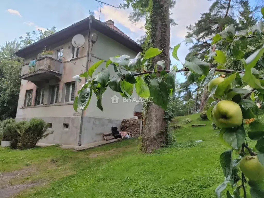 1-к кв. Калининградская область, Светлогорск ул. Мичурина, 15 (33.1 м) - Фото 1