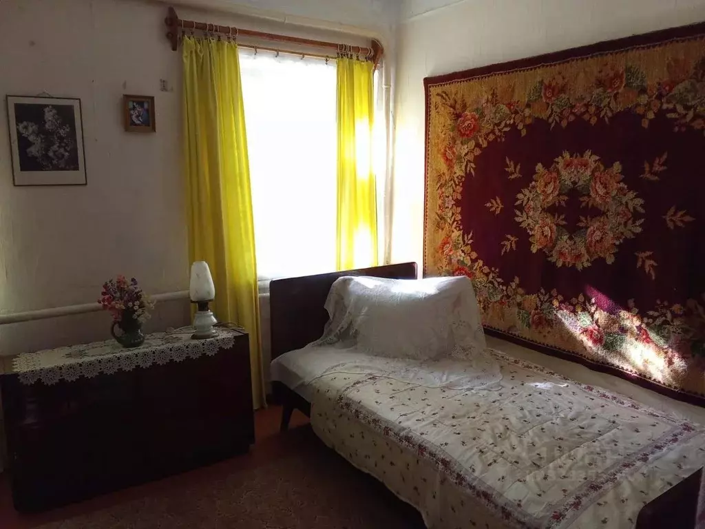 Дом в Липецкая область, с. Становое ул. Ленина, 4 (54 м) - Фото 2