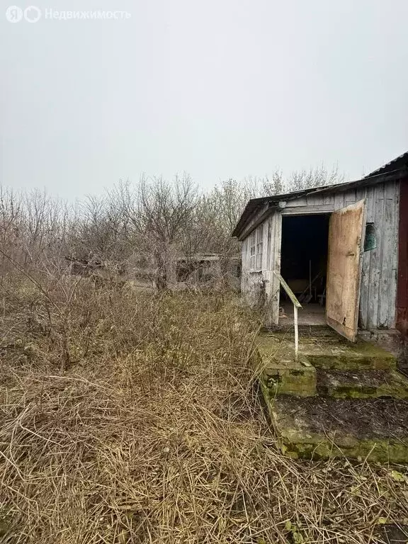 Участок в Хохольский район, село Кочетовка (20 м) - Фото 2