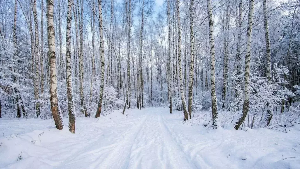 Участок в Московская область, Раменский муниципальный округ, Новое ... - Фото 2