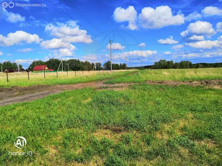 Участок в Ордынский район, Новошарапский сельсовет (653 м) - Фото 2