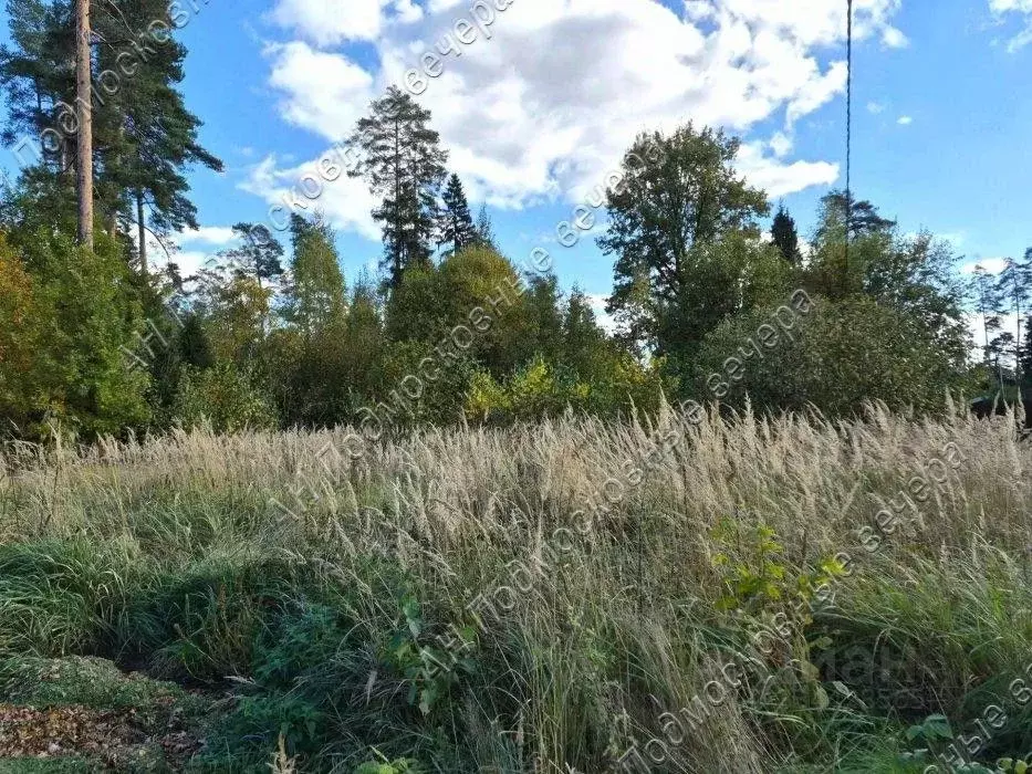 Участок в Московская область, Одинцовский городской округ, д. ... - Фото 2