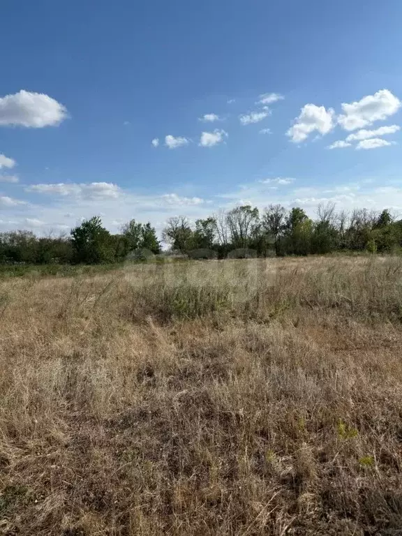 Участок в Ростовская область, Аксайский район, Старочеркасская ст-ца ... - Фото 2