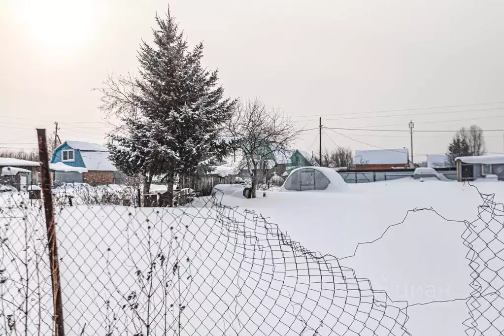 Участок в Новосибирская область, Бердск Росинка СНТ, ул. 16-я, 5 (5.0 ... - Фото 1