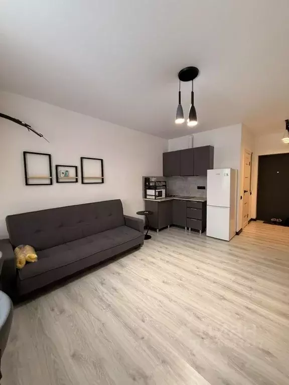 Студия Московская область, Химки городской округ, д. Рузино, ... - Фото 1