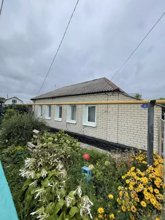 Дом в Липецкая область, Грязи ул. 2-я Чапаева, 2 (65 м) - Фото 1