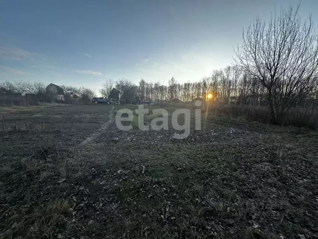 Участок в Брянская область, Брянский район, Снежское с/пос, с. ... - Фото 1