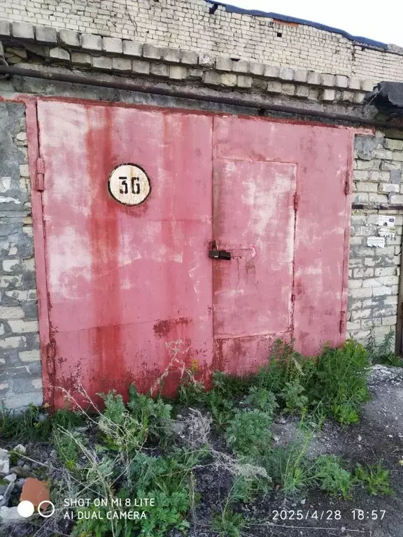 Гараж в Саратовская область, Саратов проезд 3-й Свинцовый, 2/79 (24 м) - Фото 1