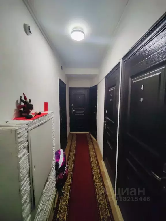 Студия Москва ш. Энтузиастов, 20В (20.0 м) - Фото 1