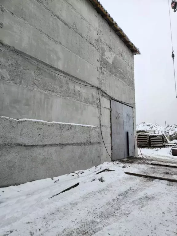 Помещение свободного назначения в Алтайский край, Барнаул просп. ... - Фото 1