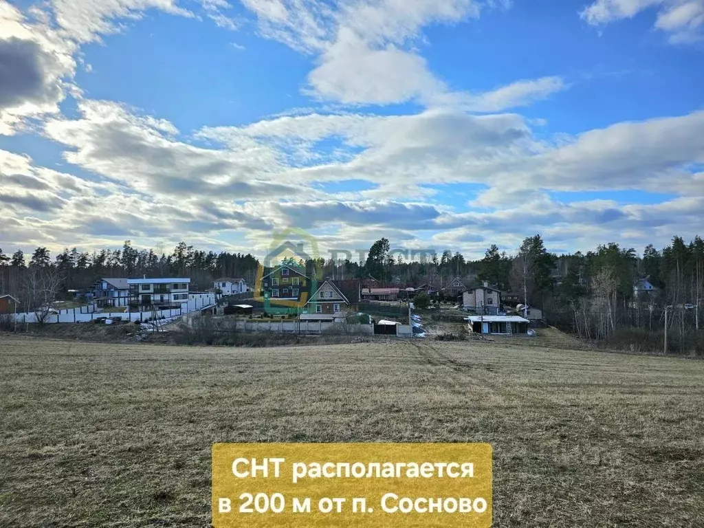 Участок в Ленинградская область, Приозерский район, пос. Сосново  ... - Фото 1