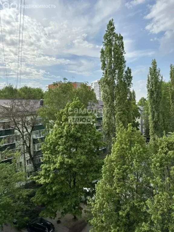 1-комнатная квартира: Липецк, улица Германа Титова, 9/4 (30.8 м) - Фото 2