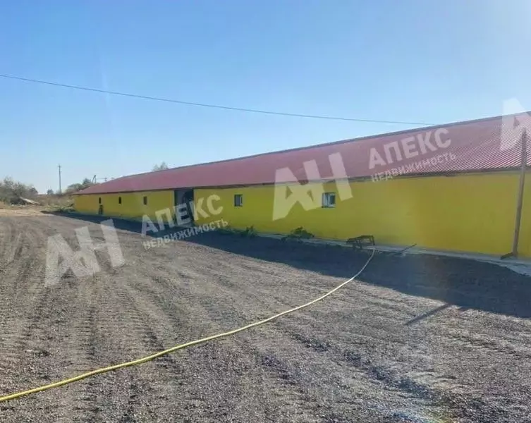 Склад в Московская область, Кашира городской округ, д. Барабаново ул. ... - Фото 2