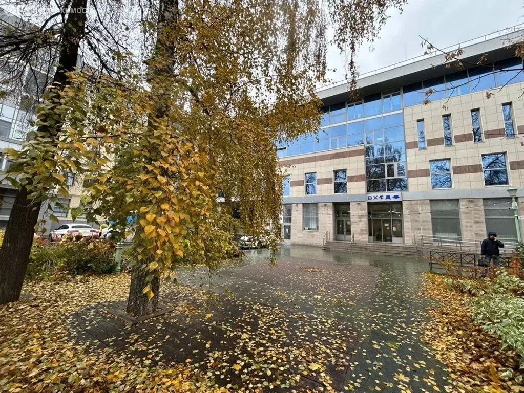 Офис (16.5 м) - Фото 2