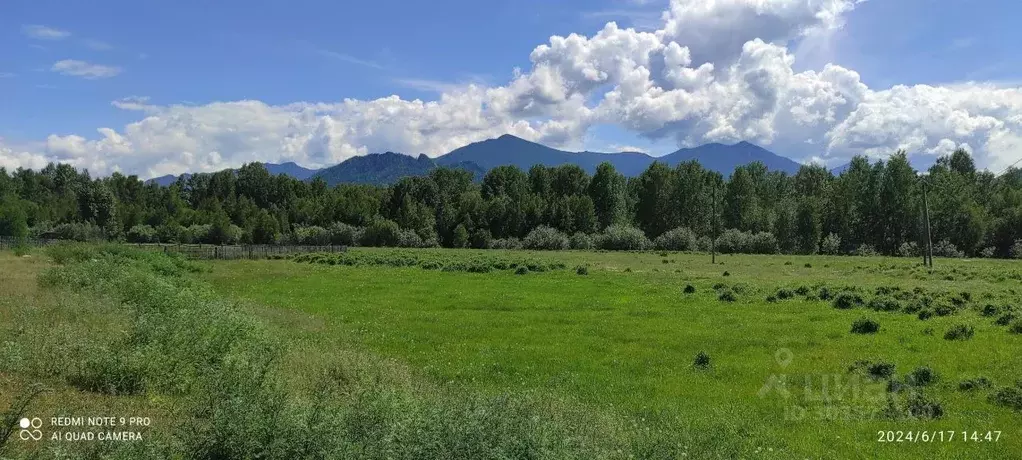 Участок в Алтай, Усть-Коксинский район, с. Горбуново  (20.0 сот.) - Фото 1