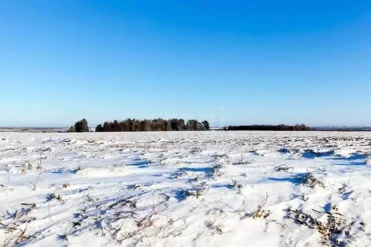 Участок в Брянская область, Брянский район, Чернетовское с/пос, д. ... - Фото 2