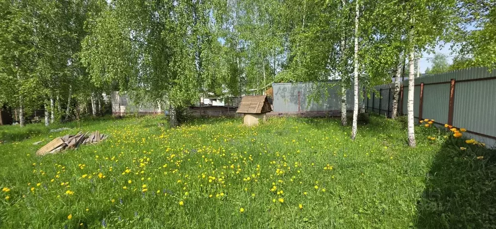 Участок в Московская область, Солнечногорск городской округ, Пятницкие ... - Фото 2