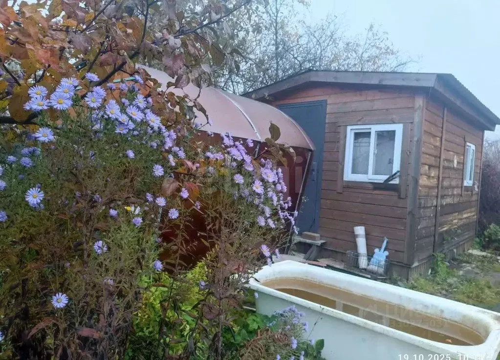 Дом в Ярославская область, Рыбинск Переборский п/р, пос. Переборы, 51 ... - Фото 1