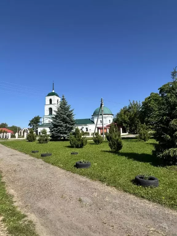 Участок в Нижегородская область, Нижний Новгород с. Большая Ельня, пл. ... - Фото 1