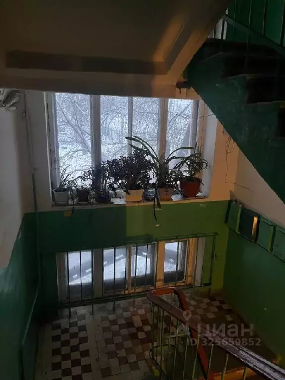 2-к кв. Нижегородская область, Дзержинск ул. Чапаева, 37 (57.0 м) - Фото 2