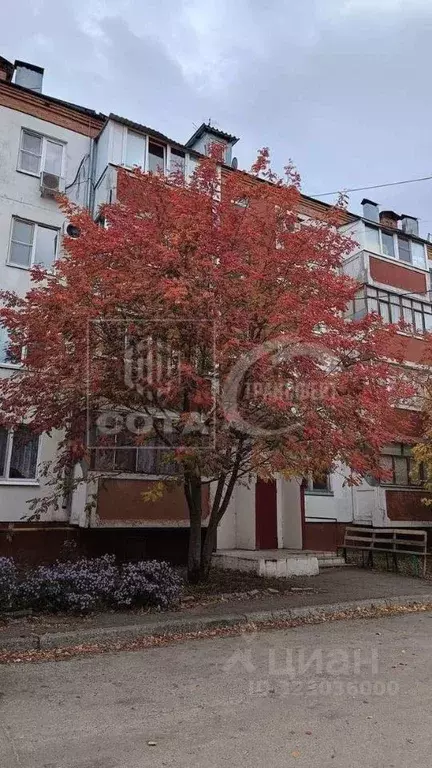 1-к кв. Воронежская область, с. Новая Усмань ул. Славянская, 9А (38.0 ... - Фото 1