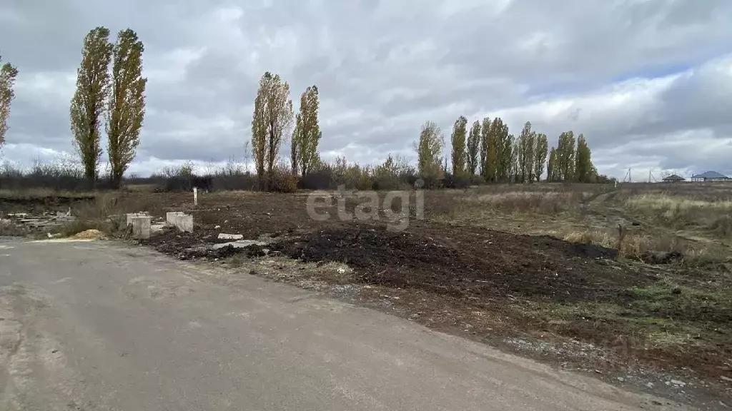 Участок в Белгородская область, Белгородский район, Дубовское с/пос, ... - Фото 0