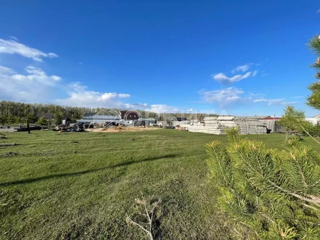 Участок в Тюменская область, Тюменский муниципальный округ, с. Успенка ... - Фото 2