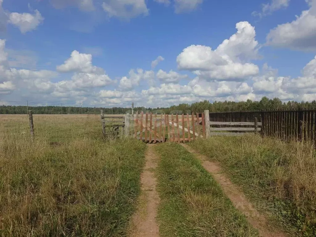 Участок в Ленинградская область, Киришский район, Будогощское ... - Фото 1