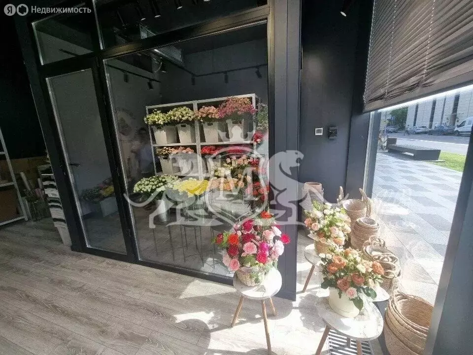 Помещение свободного назначения (30.3 м) - Фото 2