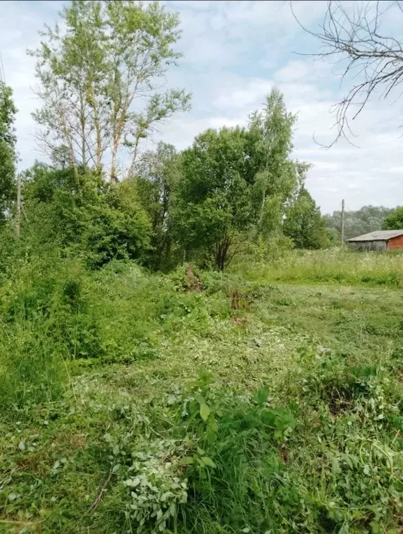 Участок в Калужская область, Перемышльский район, Покровское с/пос, д. ... - Фото 2