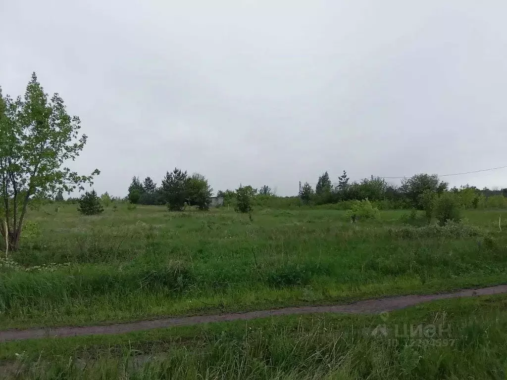 Участок в Воронежская область, Верхнехавский район, с. Углянец ул. ... - Фото 0