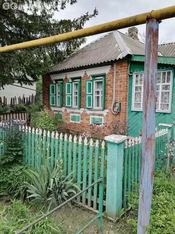 Дом в Белгородская область, Яковлевский муниципальный округ, село ... - Фото 0